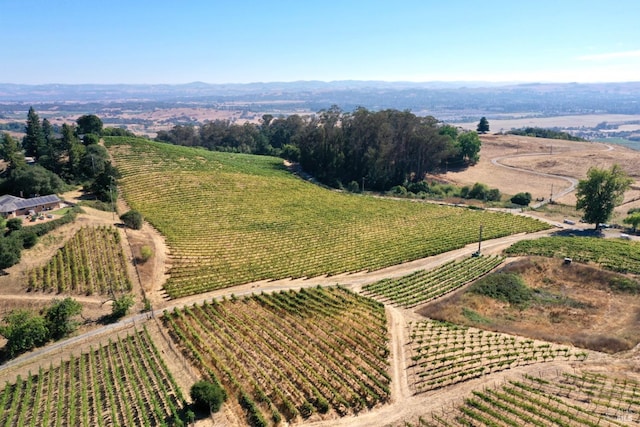 bird's eye view featuring a rural view