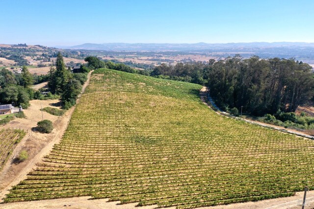 birds eye view of property featuring a rural view and a mountain view