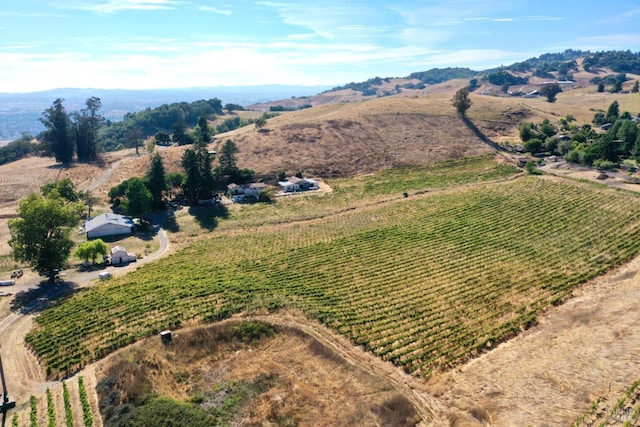 bird's eye view featuring a rural view and a mountain view