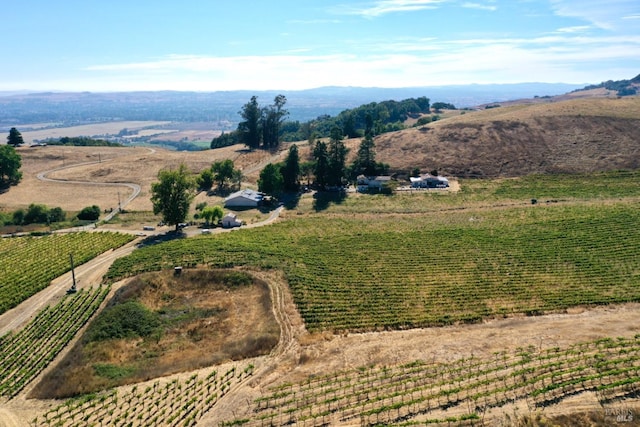 aerial view with a rural view