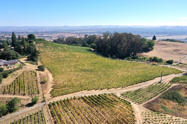 birds eye view of property with a rural view