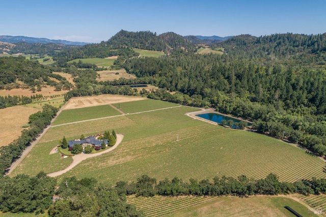 11080 Franz Valley Rd, Calistoga, CA 94515 - bird's eye view featuring a rural view and a water and mountain view