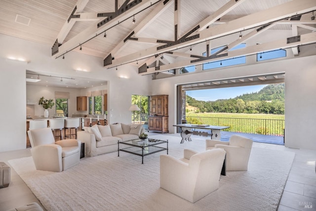 11080 Franz Valley Rd, Calistoga, CA 94515 - tiled living room with track lighting, wood ceiling, high vaulted ceiling, and beamed ceiling