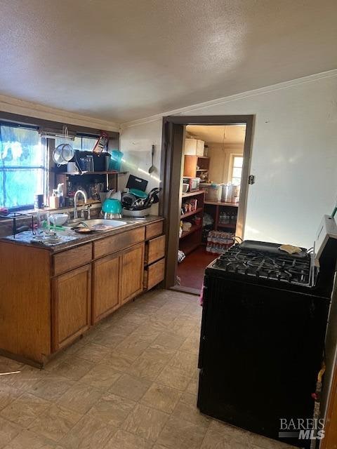 kitchen featuring light tile patterned flooring, sink, a textured ceiling, and ornamental molding