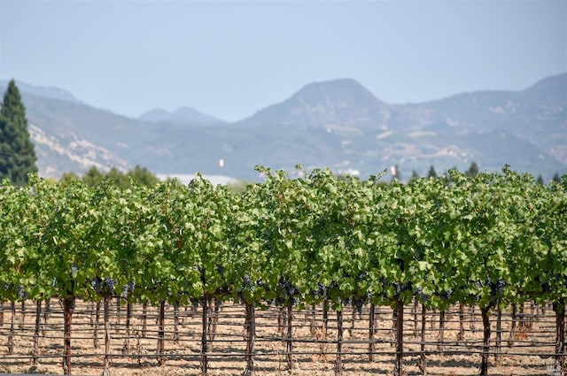 view of mountain feature