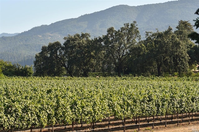 view of mountain feature with a rural view