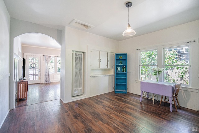 kitchen with plenty of natural light, dark hardwood / wood-style flooring, and hanging light fixtures