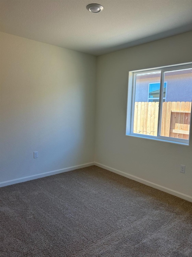 spare room with carpet floors