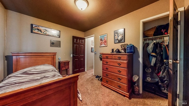 carpeted bedroom featuring a closet