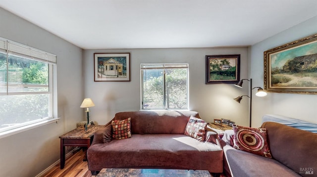 living area featuring wood finished floors, baseboards, and a wealth of natural light