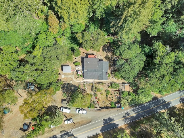 drone / aerial view