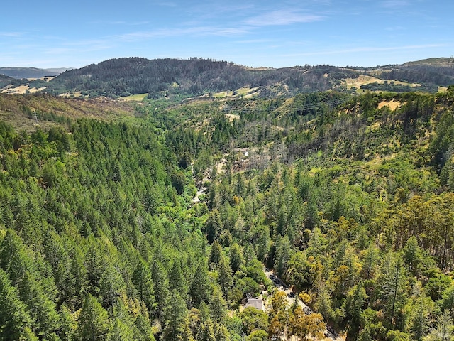 property view of mountains