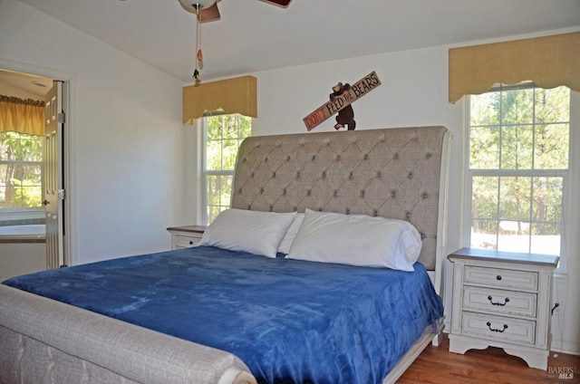 bedroom featuring ceiling fan, wood-type flooring, ensuite bathroom, and multiple windows