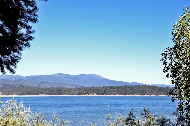 water view with a mountain view