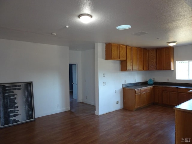 kitchen featuring a textured ceiling, dark hardwood / wood-style floors, a wealth of natural light, and sink