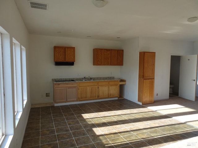 interior space with dark colored carpet and sink