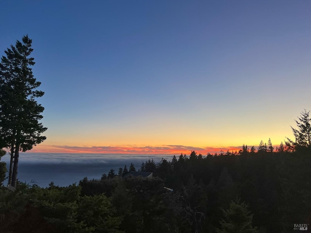 view of nature at dusk