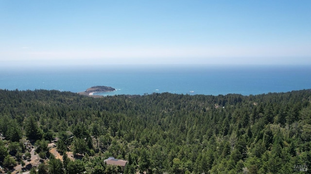 drone / aerial view featuring a water view and a forest view