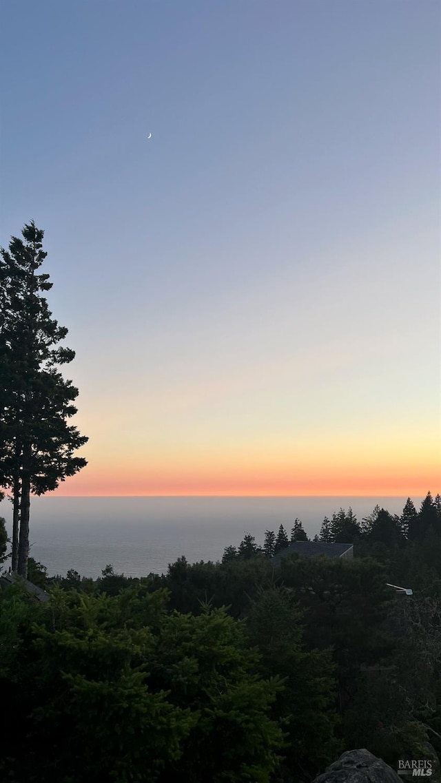 nature at dusk with a water view