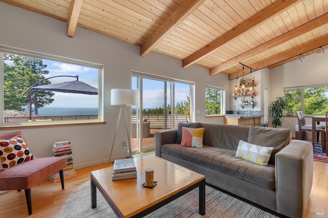 living room featuring wooden ceiling, light wood finished floors, beam ceiling, and plenty of natural light