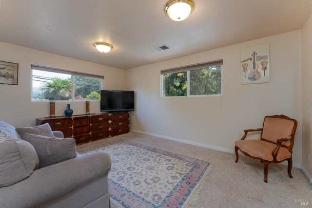 living room featuring light colored carpet