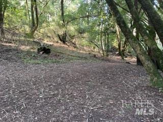 5 Meadow View Ln, San Geronimo, CA 94963