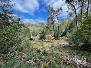 5 Meadow View Ln, San Geronimo, CA 94963