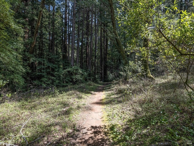5 Meadow View Ln, San Geronimo, CA 94963