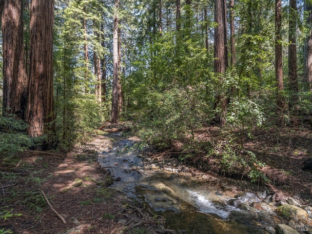 5 Meadow View Ln, San Geronimo, CA 94963