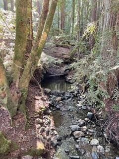 5 Meadow View Ln, San Geronimo, CA 94963