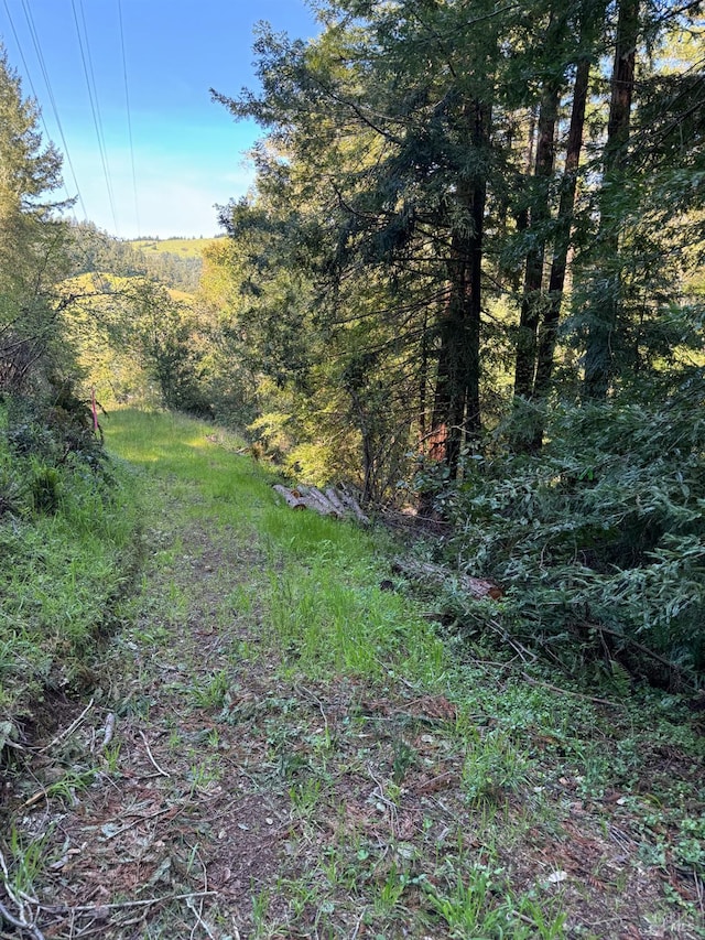 5 Meadow View Ln, San Geronimo, CA 94963