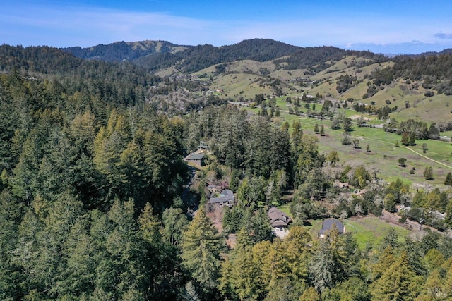 5 Meadow View Ln, San Geronimo, CA 94963