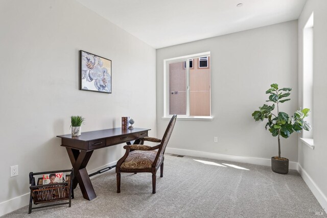 office area featuring carpet flooring