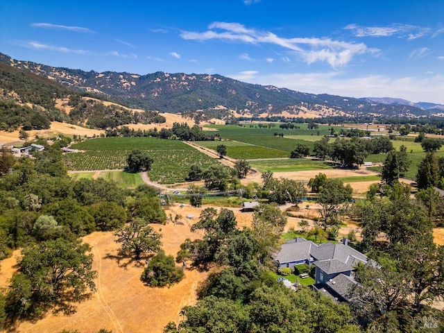 bird's eye view with a rural view and a mountain view