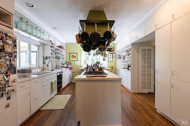 kitchen featuring dark hardwood / wood-style floors, white cabinetry, crown molding, a center island, and white fridge