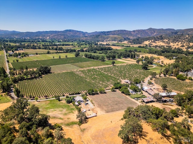 birds eye view of property with a rural view and a mountain view