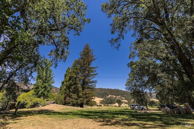 view of yard featuring a mountain view