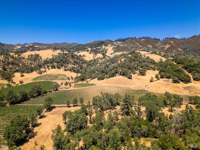 property view of mountains with a rural view