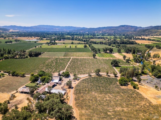 birds eye view of property featuring a rural view and a mountain view