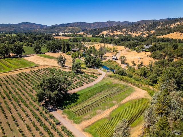 drone / aerial view with a rural view and a mountain view