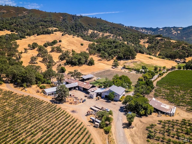 birds eye view of property featuring a rural view and a mountain view