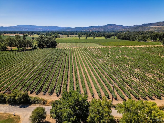 bird's eye view with a mountain view and a rural view