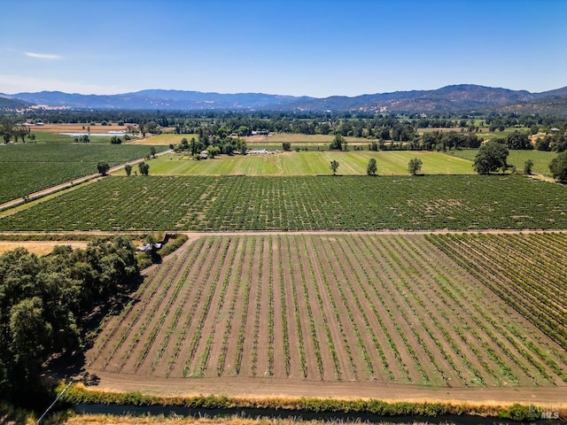 drone / aerial view featuring a rural view and a mountain view