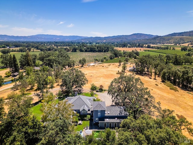 birds eye view of property with a mountain view and a rural view