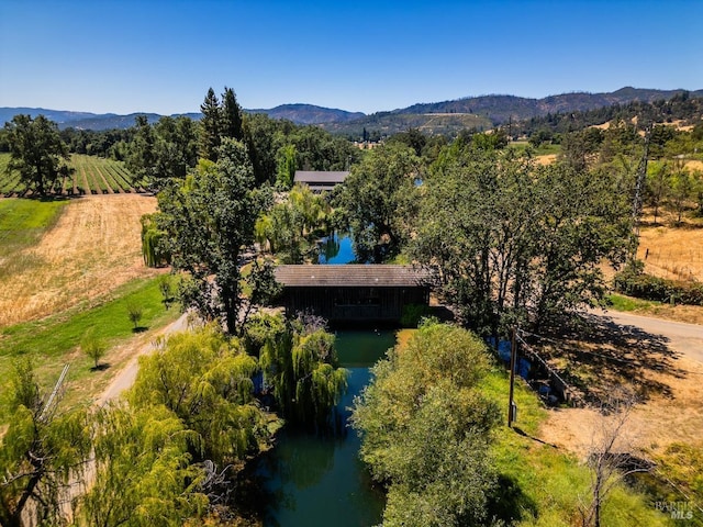 birds eye view of property with a mountain view and a rural view