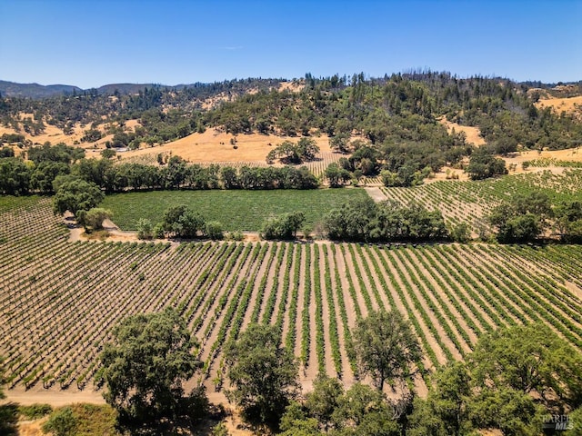 birds eye view of property featuring a rural view