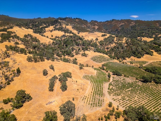 aerial view with a mountain view