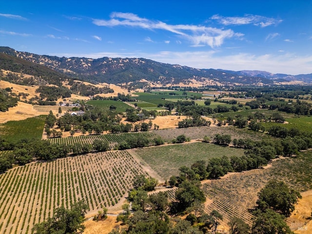 bird's eye view with a mountain view and a rural view