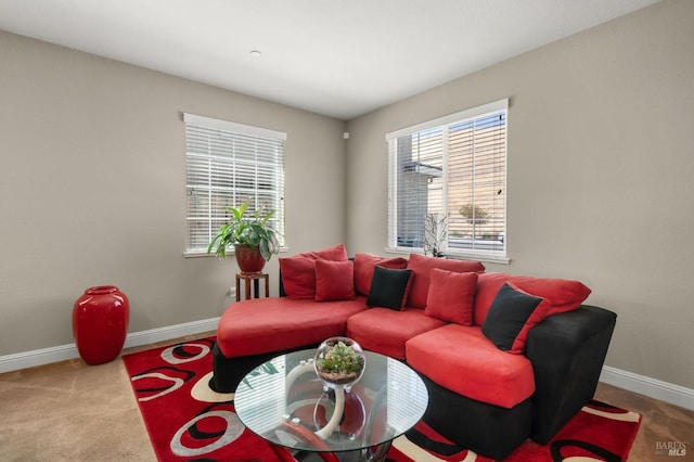 living room featuring carpet flooring