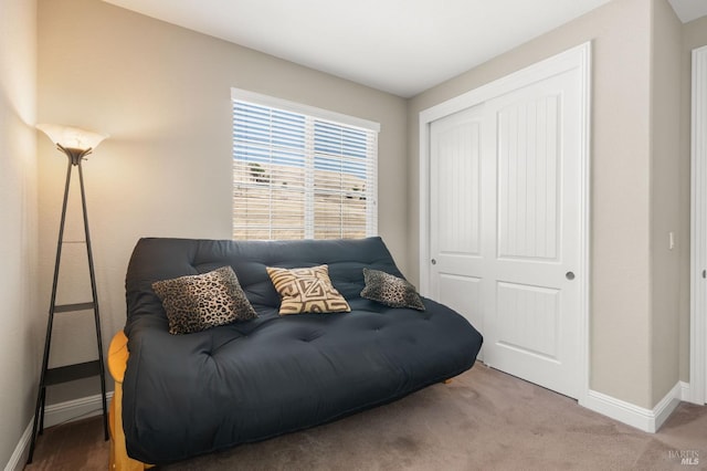 living area featuring carpet flooring